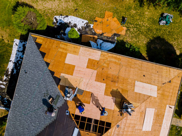 Roof Gutter Cleaning in Vienna, VA